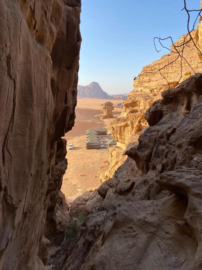 Desert Jewel Camp Wadi Rum Eksteriør bilde