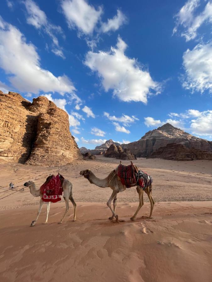 Desert Jewel Camp Wadi Rum Eksteriør bilde